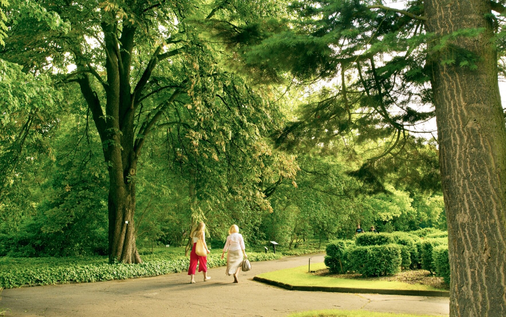 Życie po sąsiedzku – blisko zieleni