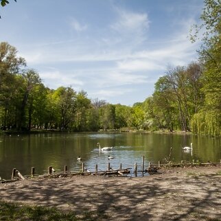 Życie po sąsiedzku – blisko zieleni